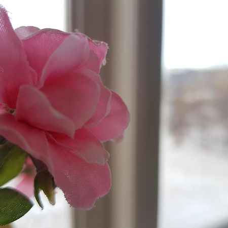 Húsafell Guesthouse Gamli Baer الغرفة الصورة